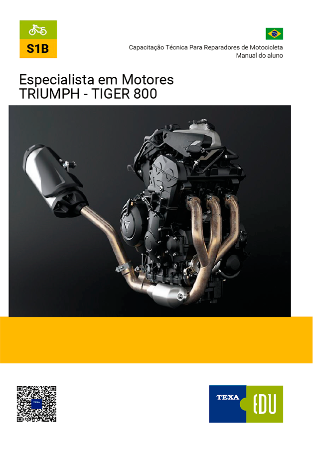 S1B: Especialista em Motores TRIUMPH - TIGER 800